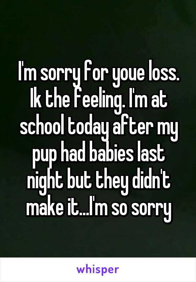 I'm sorry for youe loss. Ik the feeling. I'm at school today after my pup had babies last night but they didn't make it...I'm so sorry