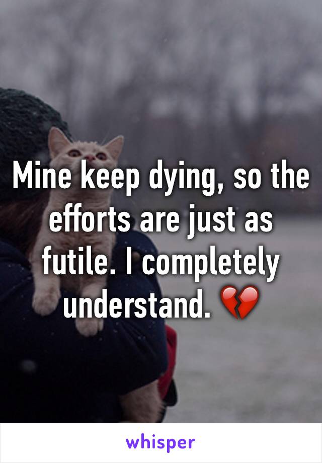Mine keep dying, so the efforts are just as futile. I completely understand. 💔