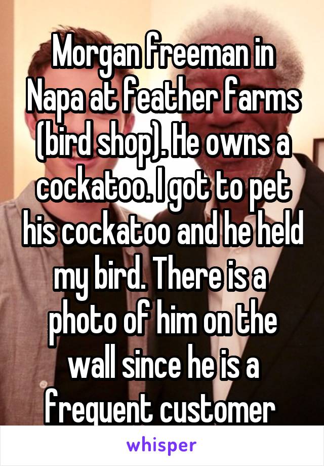 Morgan freeman in Napa at feather farms (bird shop). He owns a cockatoo. I got to pet his cockatoo and he held my bird. There is a  photo of him on the wall since he is a frequent customer 
