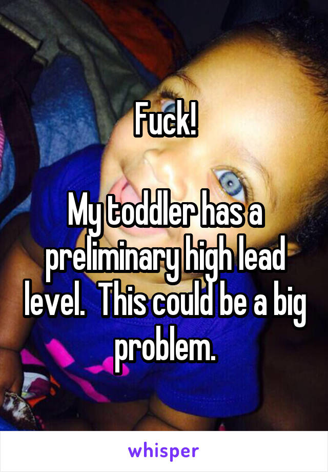 Fuck!

My toddler has a preliminary high lead level.  This could be a big problem.