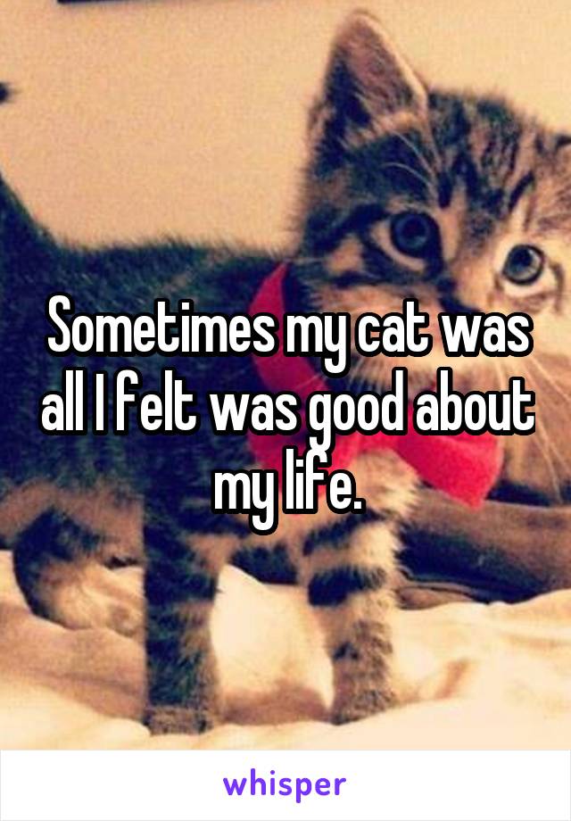 Sometimes my cat was all I felt was good about my life.