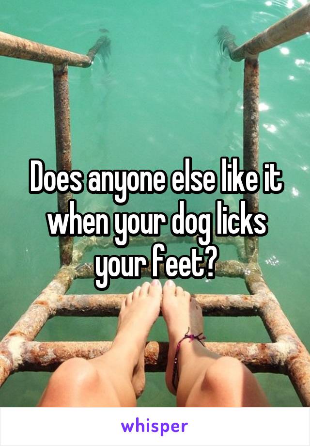 Does anyone else like it when your dog licks your feet?
