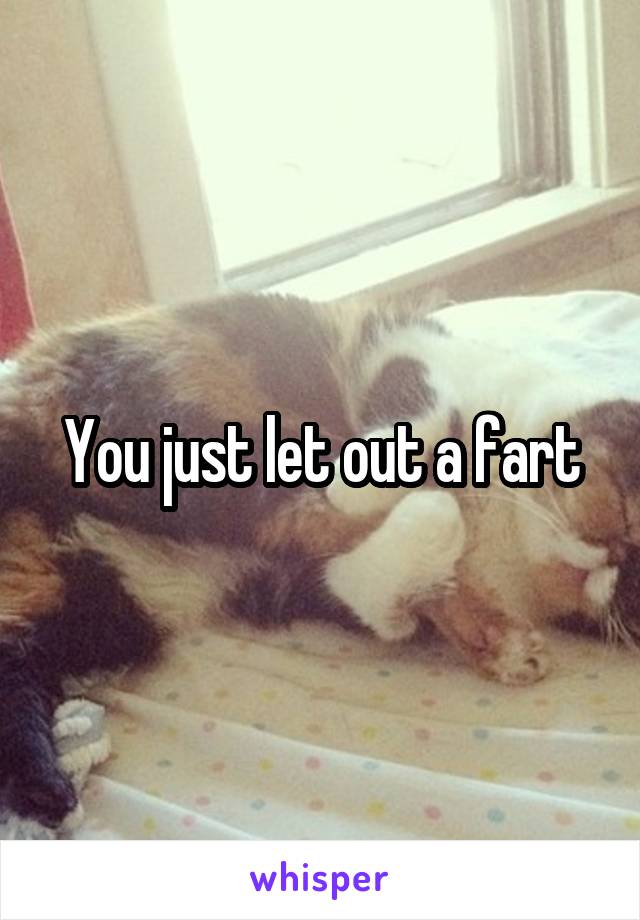 You just let out a fart