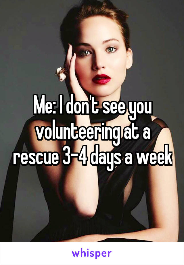 Me: I don't see you volunteering at a rescue 3-4 days a week
