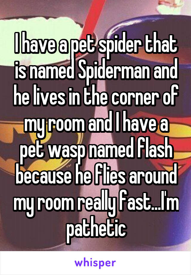I have a pet spider that is named Spiderman and he lives in the corner of my room and I have a pet wasp named flash because he flies around my room really fast...I'm pathetic