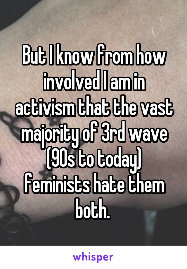 But I know from how involved I am in activism that the vast majority of 3rd wave (90s to today) feminists hate them both. 