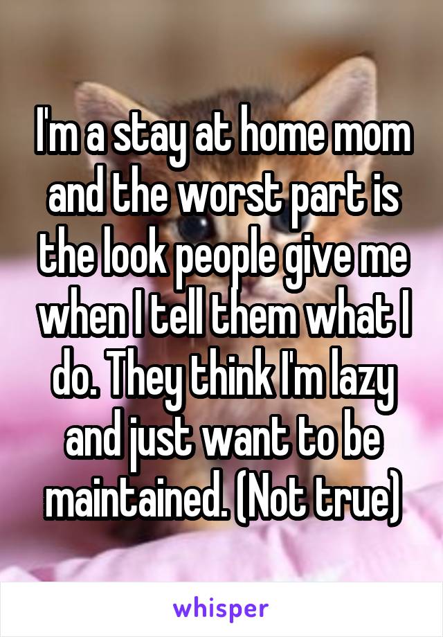 I'm a stay at home mom and the worst part is the look people give me when I tell them what I do. They think I'm lazy and just want to be maintained. (Not true)