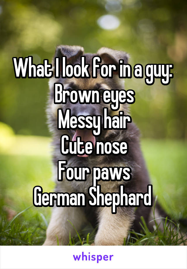 What I look for in a guy: 
Brown eyes
Messy hair
Cute nose
Four paws
German Shephard 