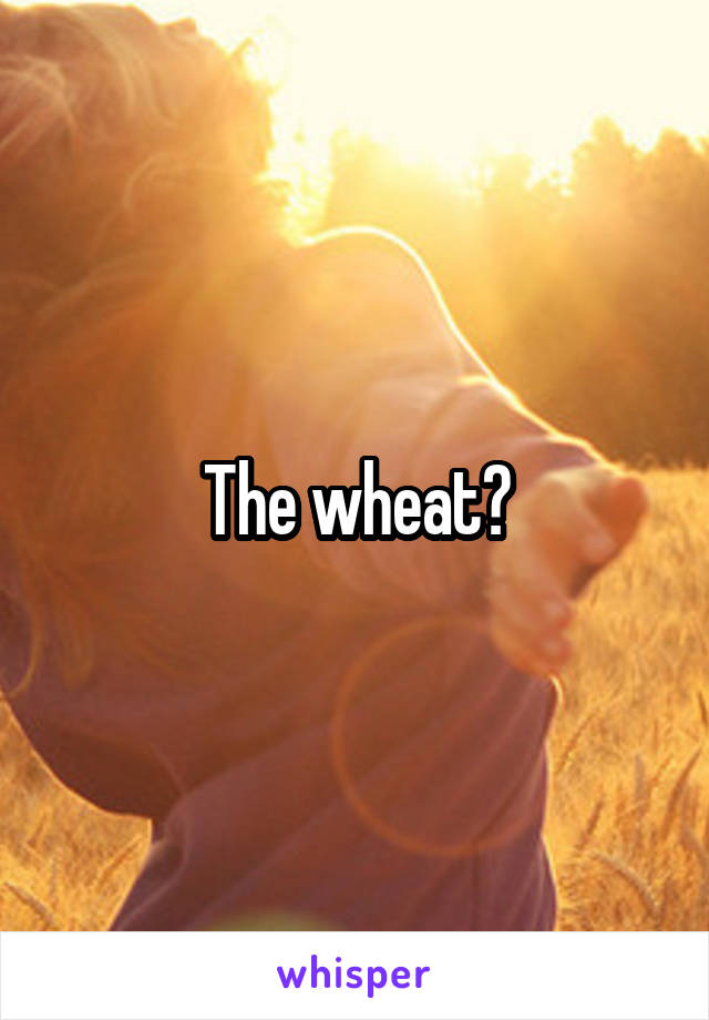 The wheat?