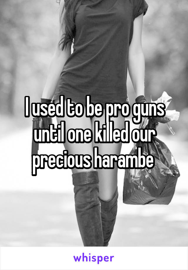 I used to be pro guns until one killed our precious harambe 