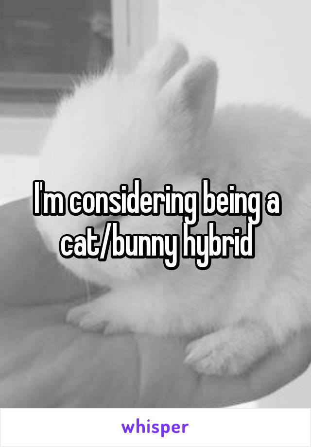 I'm considering being a cat/bunny hybrid