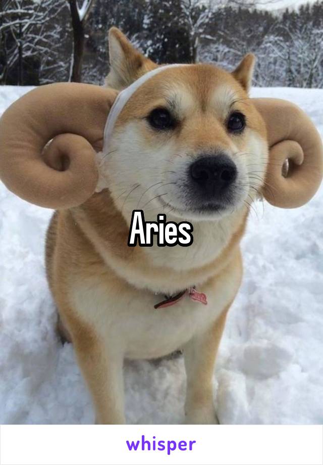 Aries 