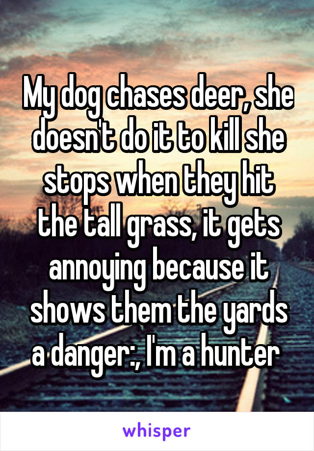 My dog chases deer, she doesn't do it to kill she stops when they hit the tall grass, it gets annoying because it shows them the yards a danger:\, I'm a hunter 