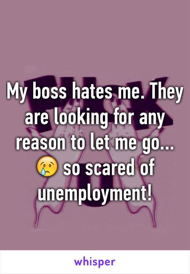 My boss hates me. They are looking for any reason to let me go... 😢 so scared of unemployment!