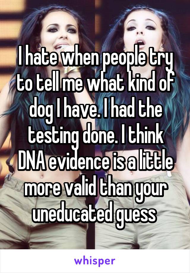 I hate when people try to tell me what kind of dog I have. I had the testing done. I think DNA evidence is a little more valid than your uneducated guess 