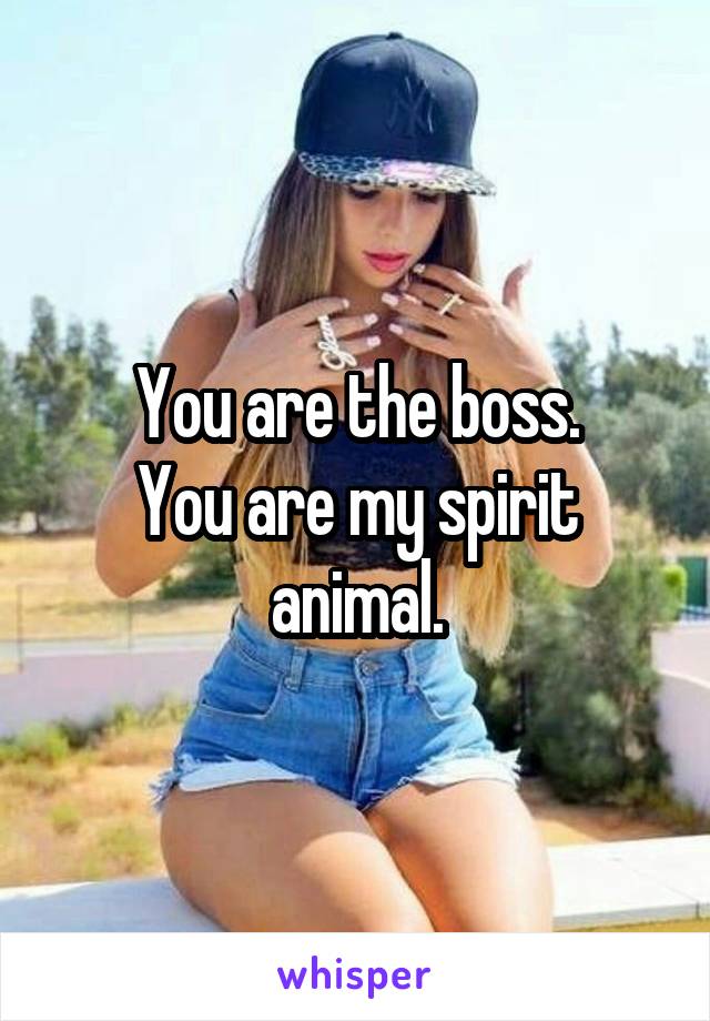 You are the boss.
You are my spirit animal.