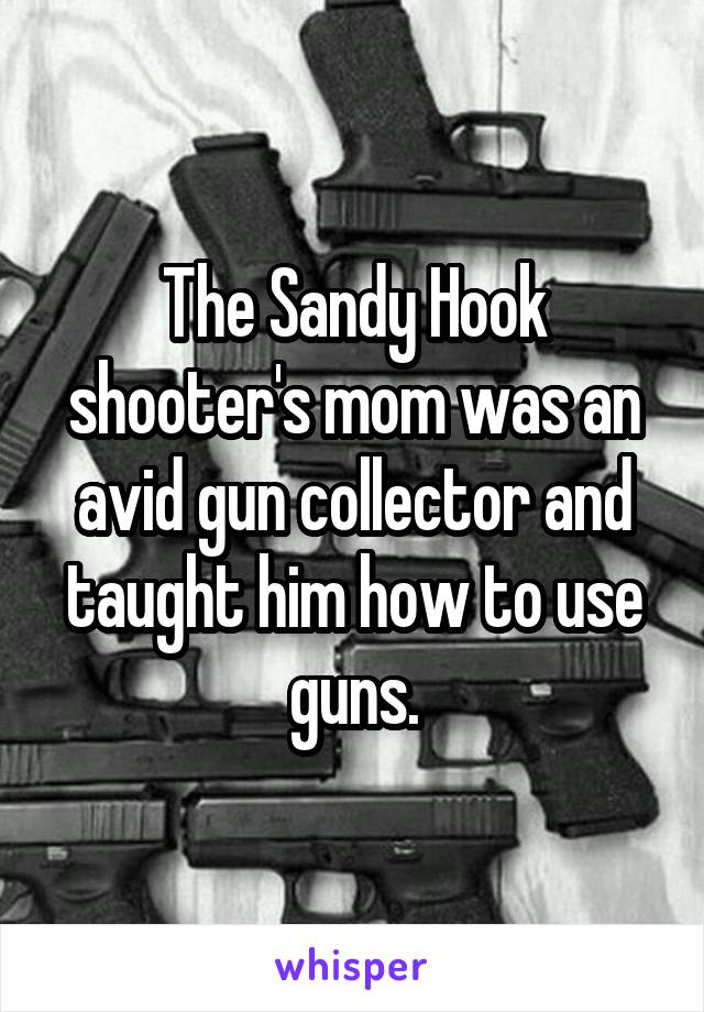 The Sandy Hook shooter's mom was an avid gun collector and taught him how to use guns.