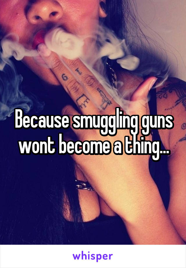 Because smuggling guns wont become a thing...