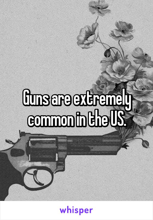 Guns are extremely common in the US.