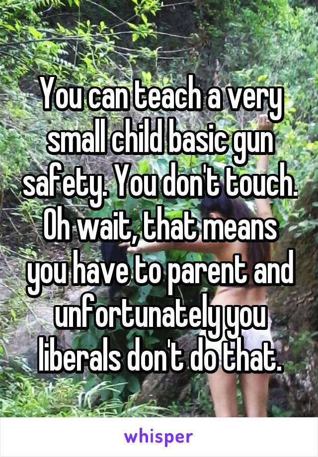 You can teach a very small child basic gun safety. You don't touch. Oh wait, that means you have to parent and unfortunately you liberals don't do that.