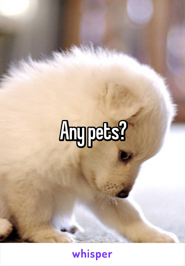 Any pets?