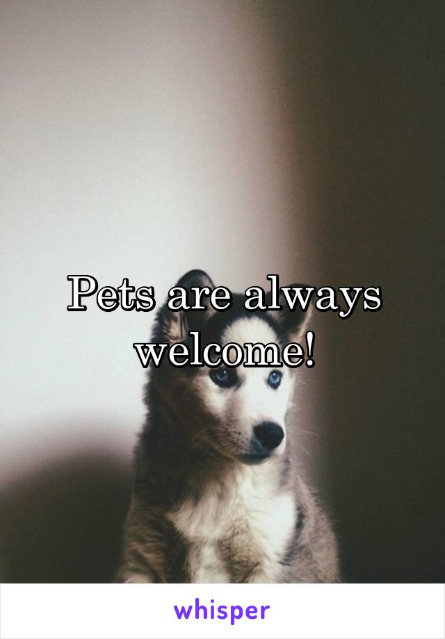 Pets are always welcome!