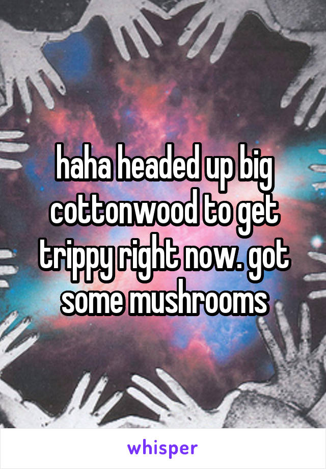 haha headed up big cottonwood to get trippy right now. got some mushrooms