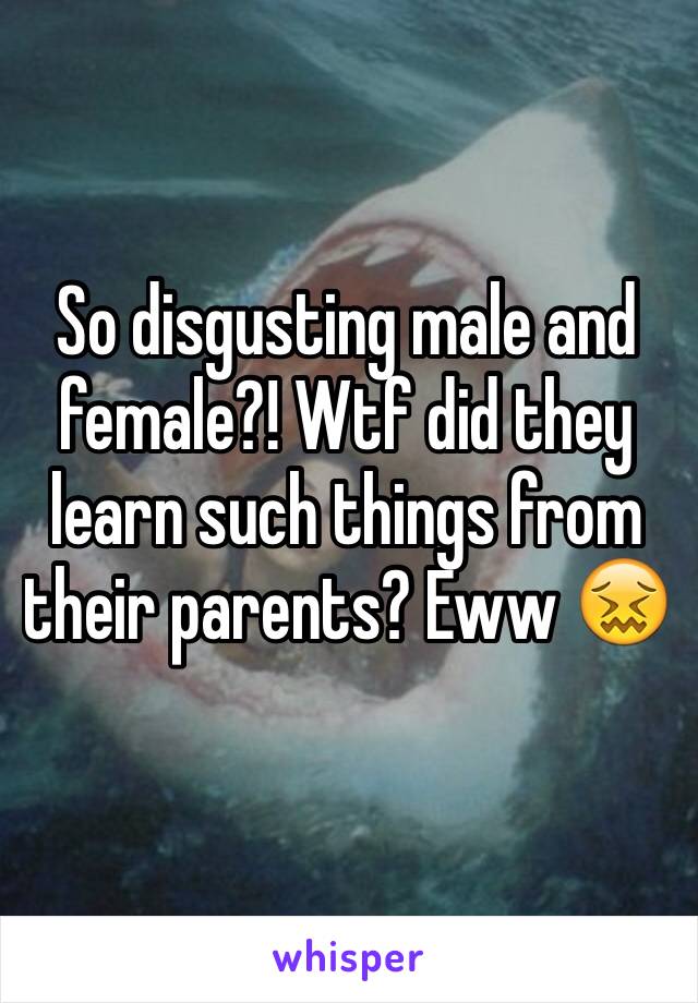 So disgusting male and female?! Wtf did they learn such things from their parents? Eww 😖