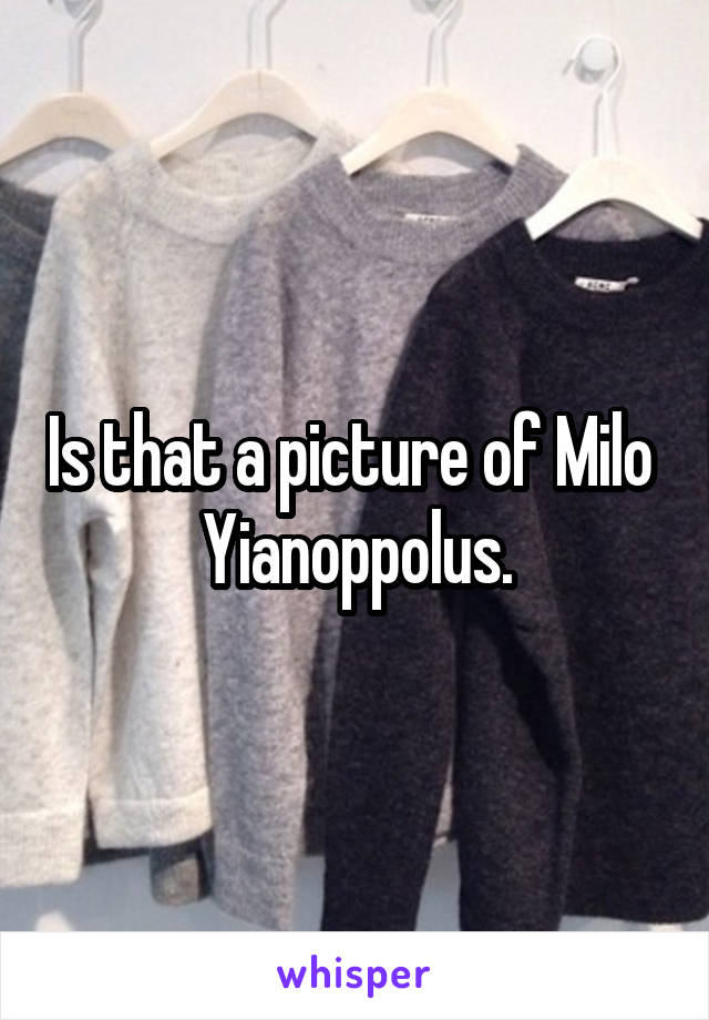 Is that a picture of Milo  Yianoppolus.