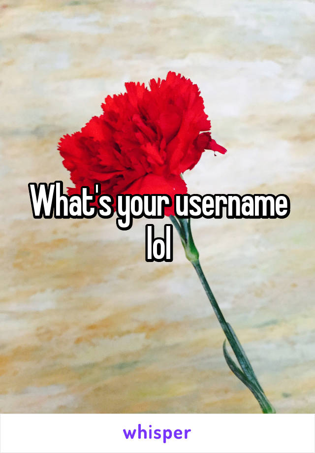 What's your username lol