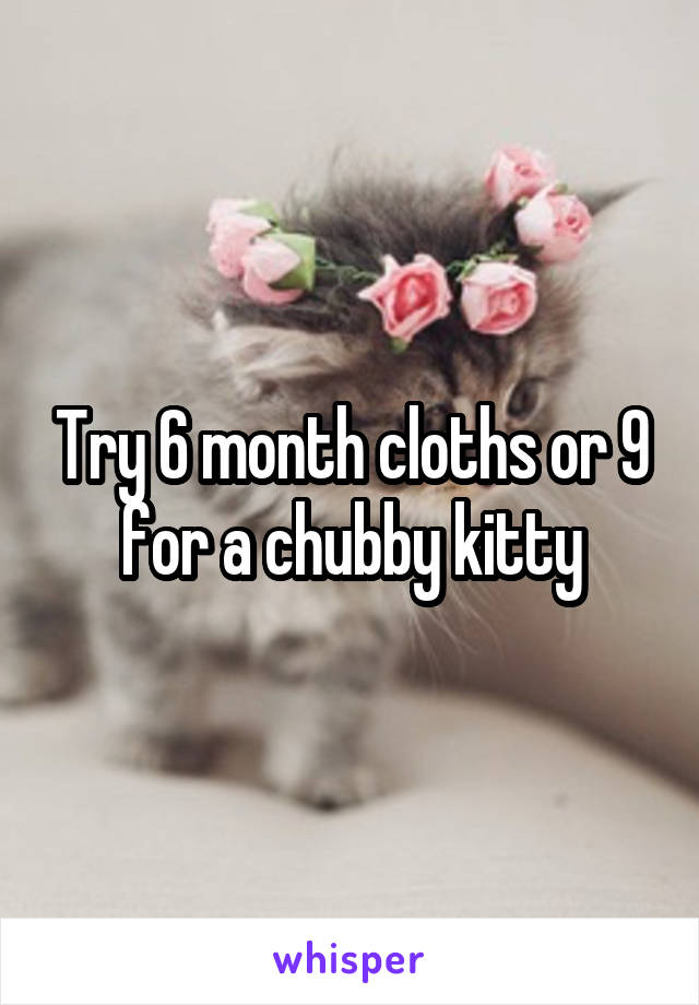 Try 6 month cloths or 9 for a chubby kitty