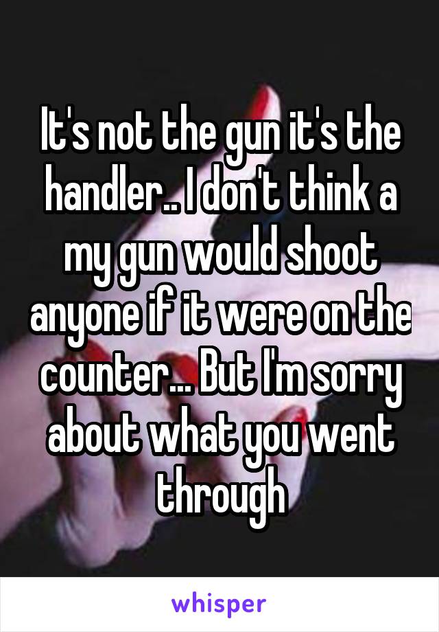 It's not the gun it's the handler.. I don't think a my gun would shoot anyone if it were on the counter... But I'm sorry about what you went through