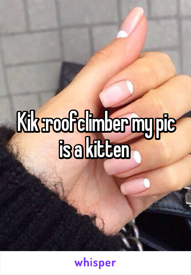 Kik :roofclimber my pic is a kitten 