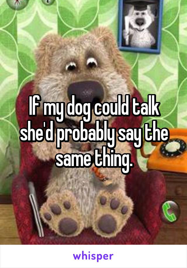 If my dog could talk she'd probably say the same thing.