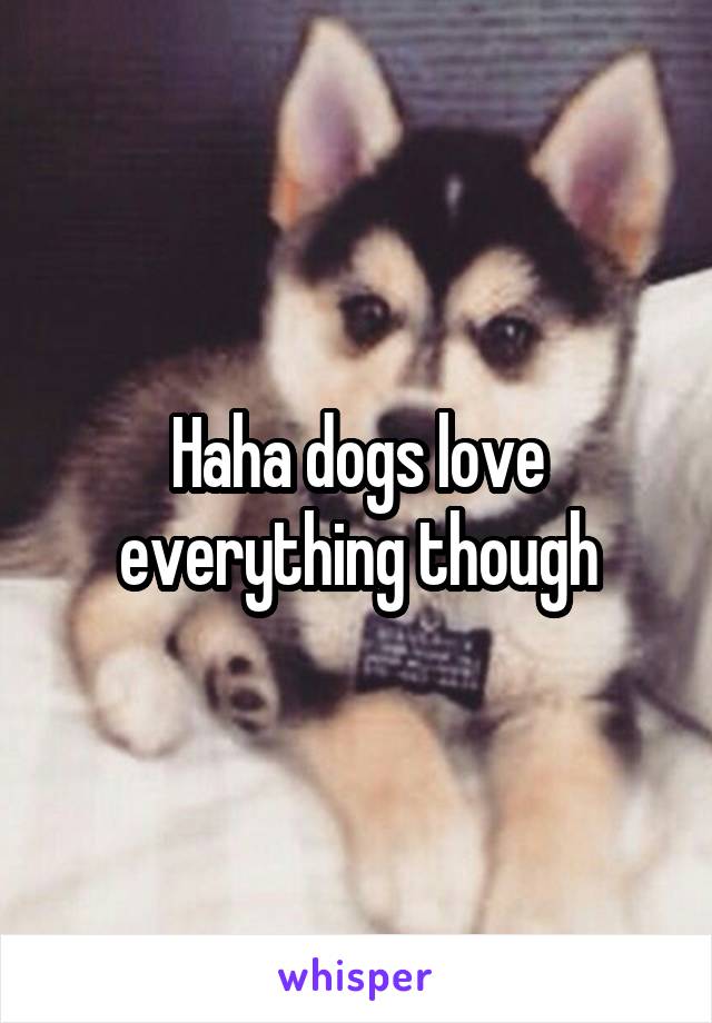 Haha dogs love everything though