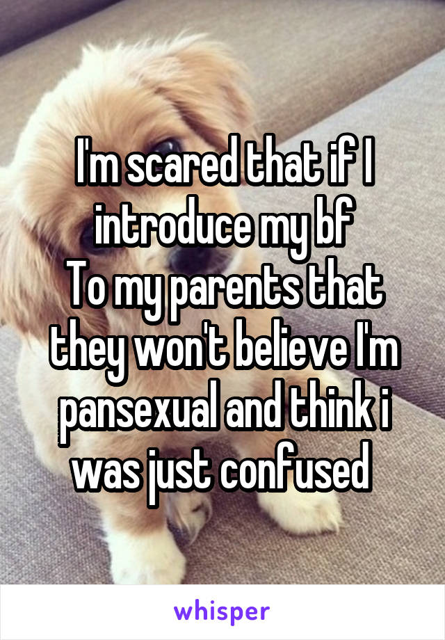 I'm scared that if I introduce my bf
To my parents that they won't believe I'm pansexual and think i was just confused 