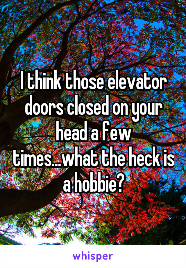 I think those elevator doors closed on your head a few times...what the heck is a hobbie?