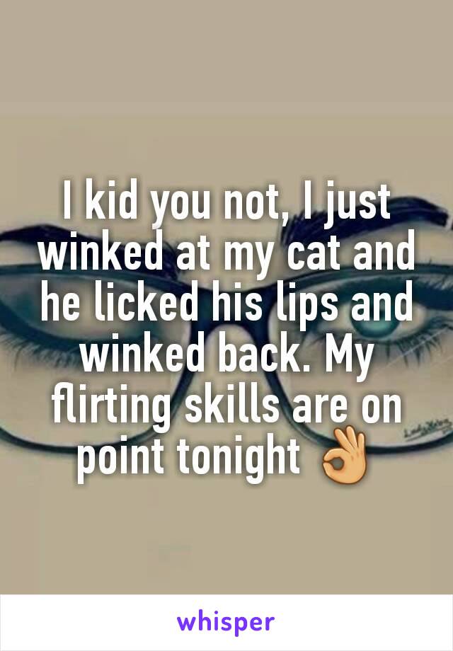 I kid you not, I just winked at my cat and he licked his lips and winked back. My flirting skills are on point tonight 👌