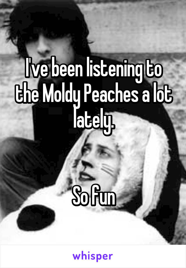 I've been listening to the Moldy Peaches a lot lately.


So fun