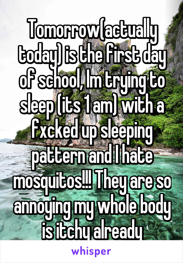 Tomorrow(actually today) is the first day of school, Im trying to sleep (its 1 am) with a fxcked up sleeping pattern and I hate mosquitos!!! They are so annoying my whole body is itchy already