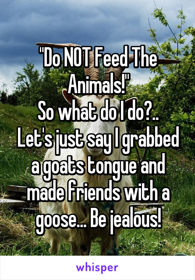 "Do NOT Feed The Animals!"
So what do I do?..
Let's just say I grabbed a goats tongue and made friends with a goose... Be jealous!