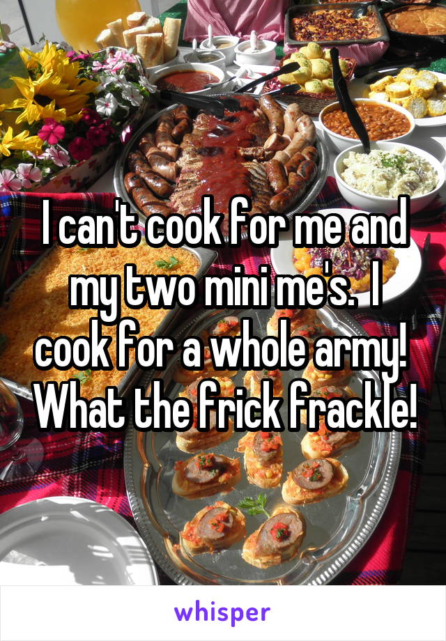 I can't cook for me and my two mini me's.  I cook for a whole army!  What the frick frackle!