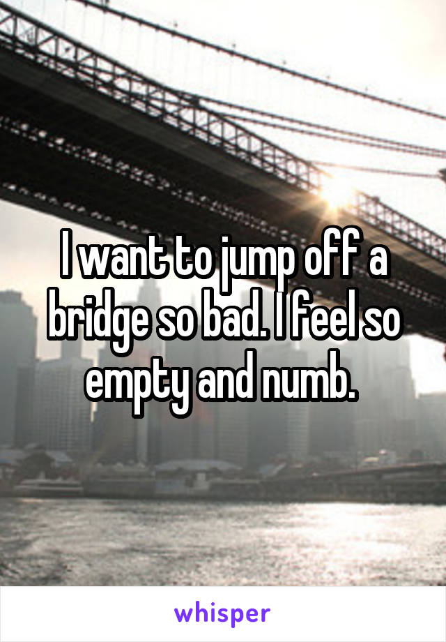 I want to jump off a bridge so bad. I feel so empty and numb. 