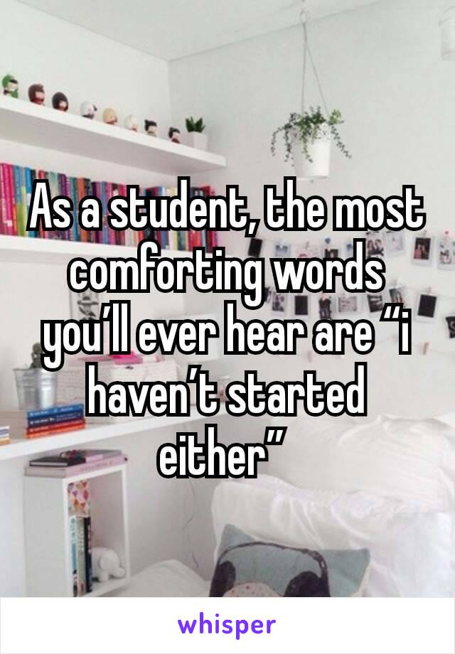 As a student, the most comforting words you’ll ever hear are “i haven’t started either” 