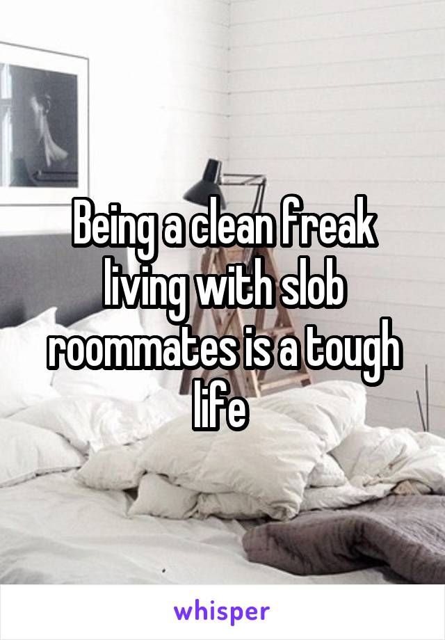 Being a clean freak living with slob roommates is a tough life 