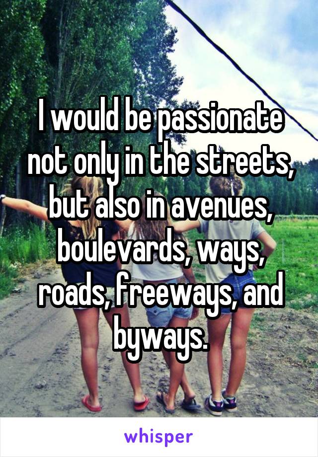 I would be passionate not only in the streets, but also in avenues, boulevards, ways, roads, freeways, and byways.