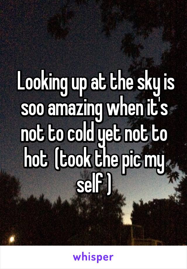  Looking up at the sky is soo amazing when it's not to cold yet not to hot  (took the pic my self )