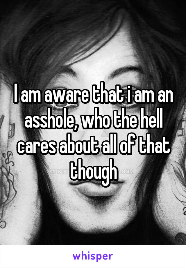 I am aware that i am an asshole, who the hell cares about all of that though