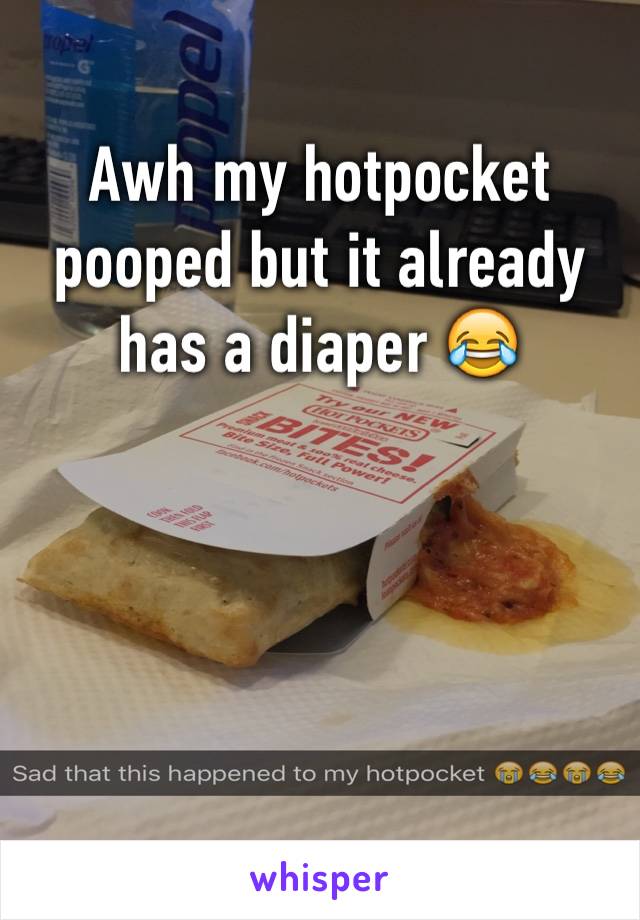Awh my hotpocket pooped but it already has a diaper 😂