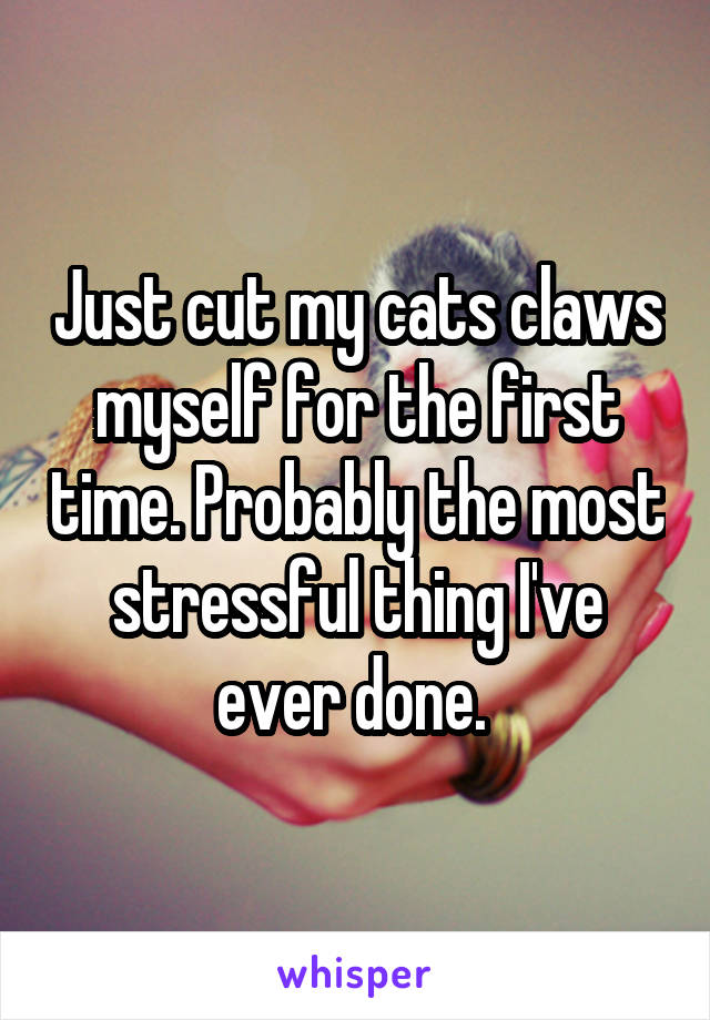 Just cut my cats claws myself for the first time. Probably the most stressful thing I've ever done. 